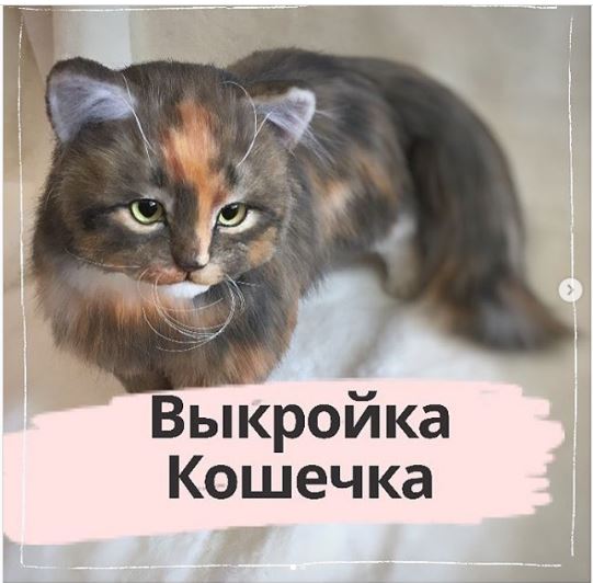 кошечка.JPG