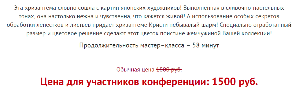 Хризантема Кристи1.png