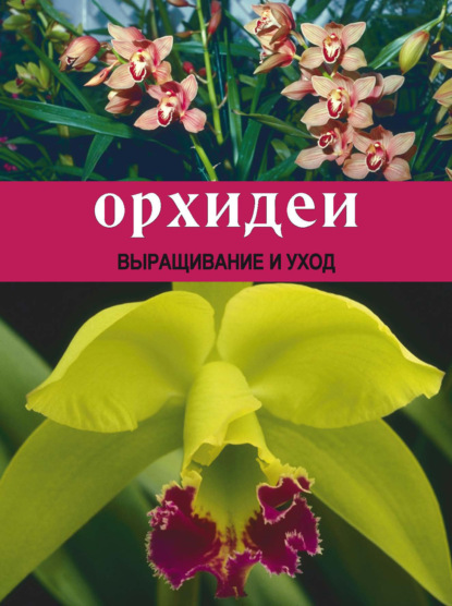 Подкормка и удобрения для орхидей