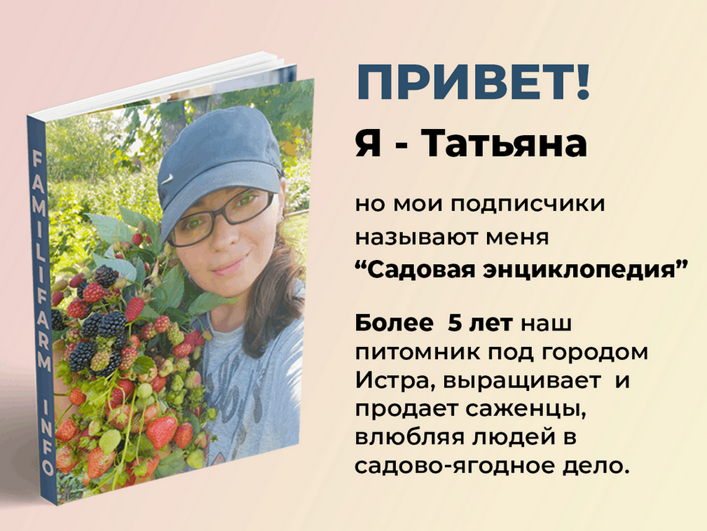 Скриншот 28-07-2022 23.11.47.png