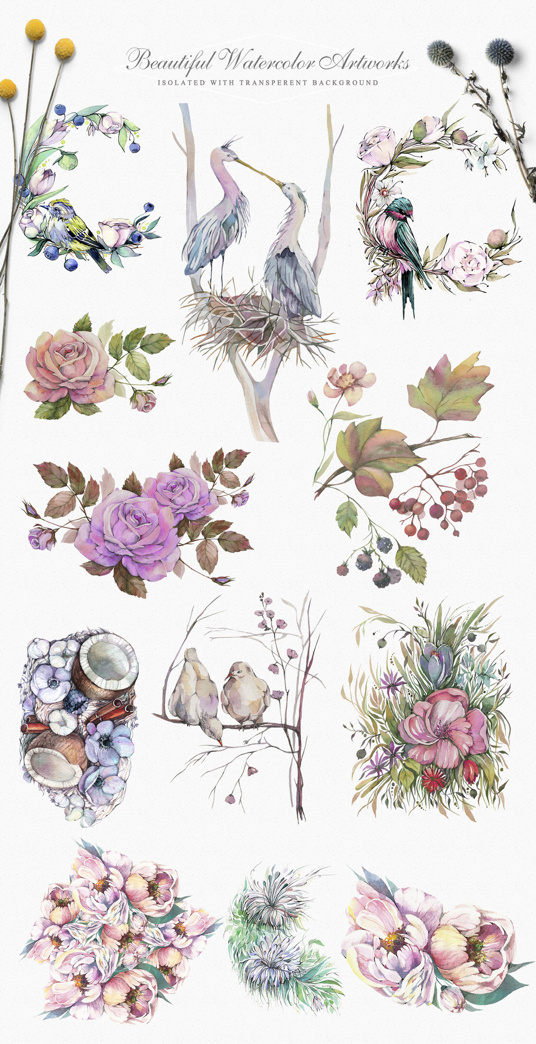 Flowers-Plants-Preview.jpg