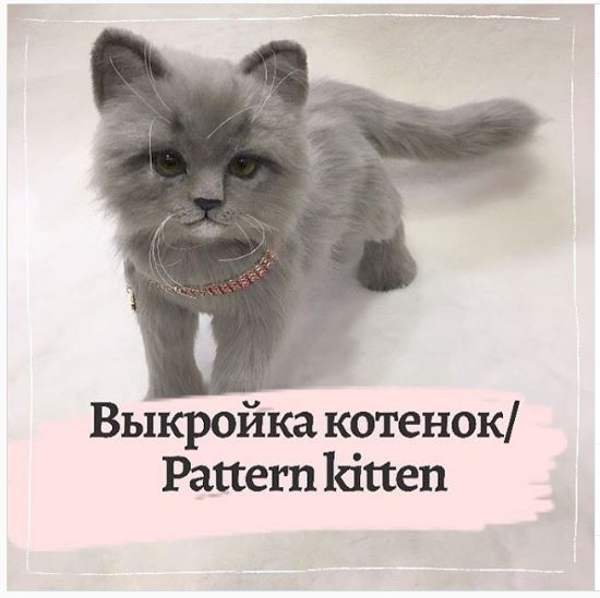 котенок.JPG