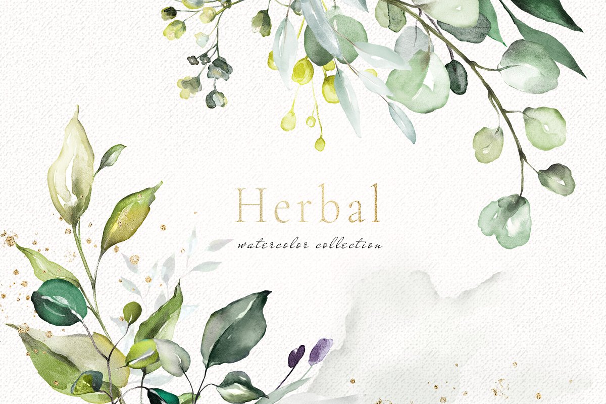 Herbal2.jpg