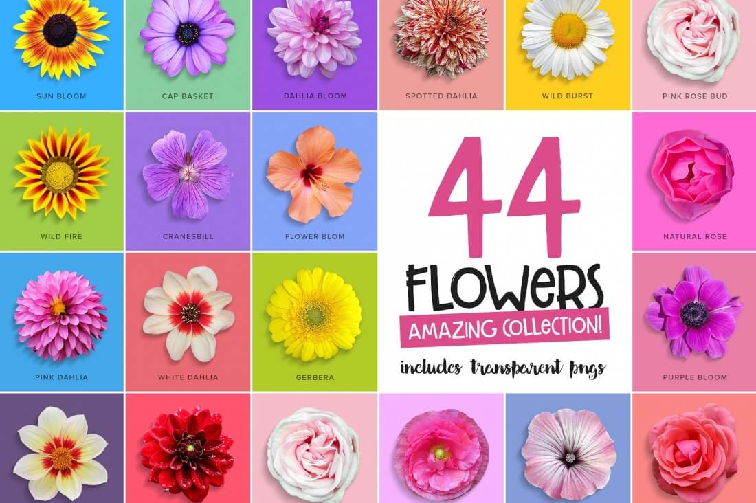 flower-graphics-.jpg