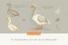 cdtoolkit-birds-glanz-6-.jpg