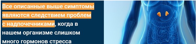 н6.jpg