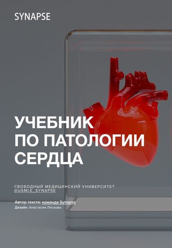 LmyxfUh51VM.jpg