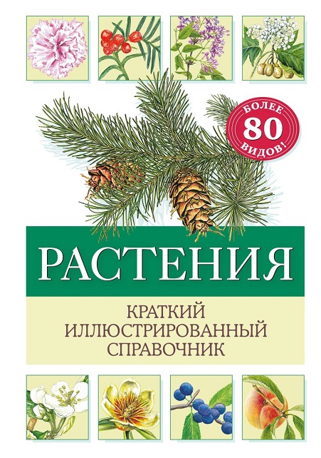 347258745629.jpg