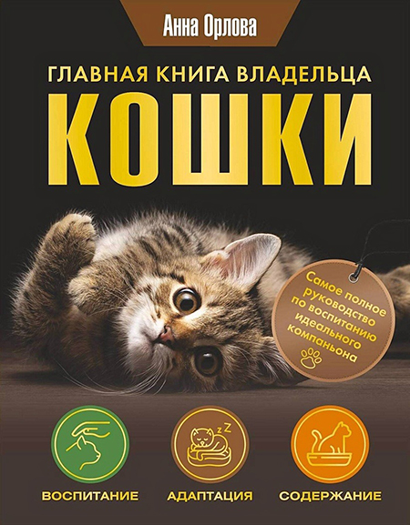 Скачать бесплатно торентом музыку песни книги фильмы игры курс мобильное • Домоводство