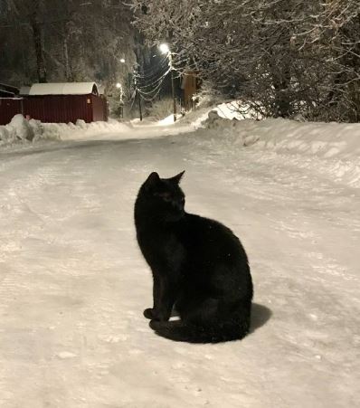 Снимок.JPG