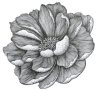 2024-10-22_150240.png