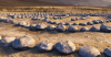 2024-10-25_12-14-13.png