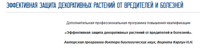 2024-09-11_14-13-25.png