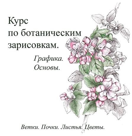 Снимок.JPG