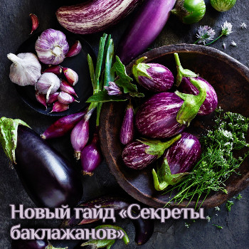 1skladchik-pic.jpg