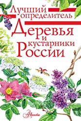64880766.png