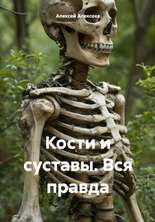 76858.png